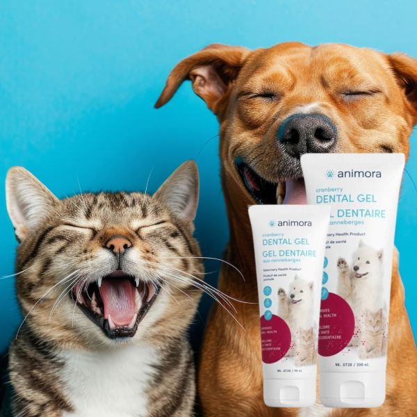 Cranberry Dental gel for cats and dog