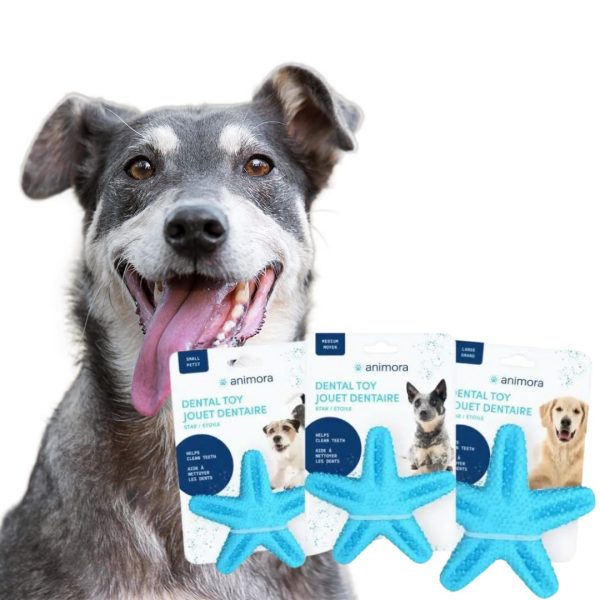 Star Dental Toy for dogs
