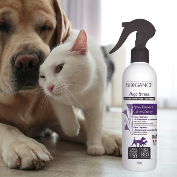 BioGance Algo Stress - Calming Spray