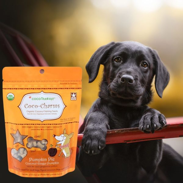 Cocotherapy Coco-Charms Pumpkin treat