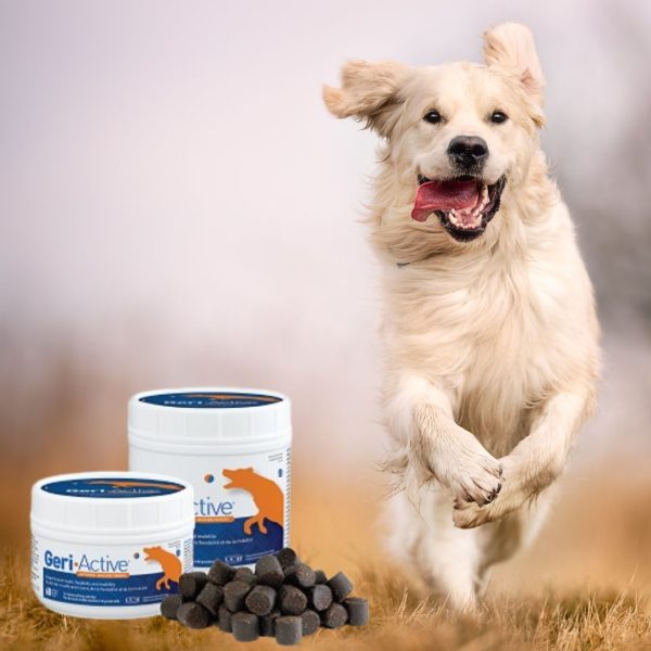 Geri-Active for median and large dogs - over 15kg