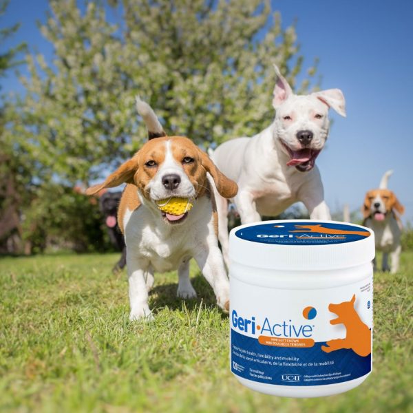 Geri-Active for small dogs - up to 15kg
