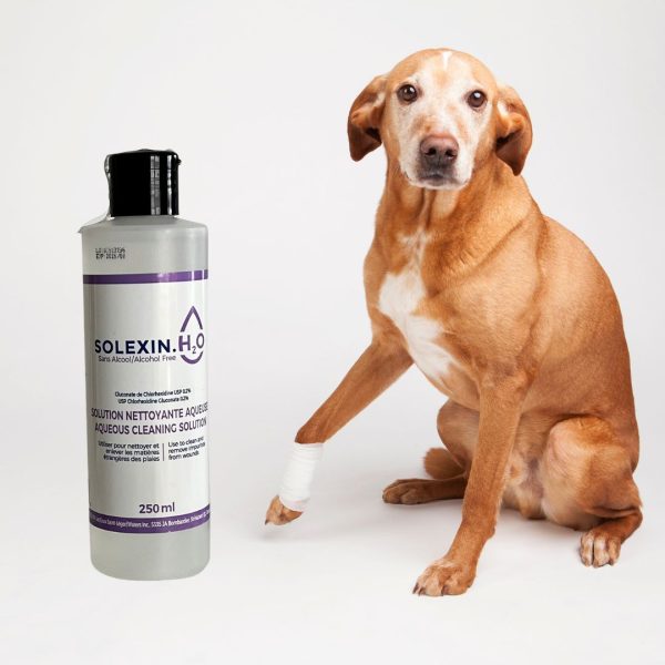 Solexin H2O Alcohol free