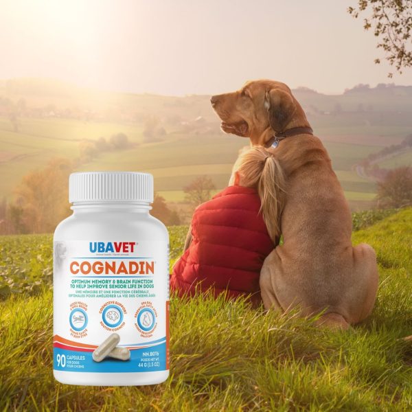 Cognadin - Memory and Brain Fonction