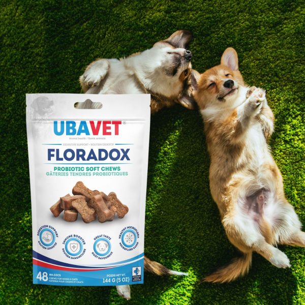 Floradox Probiotic Chews